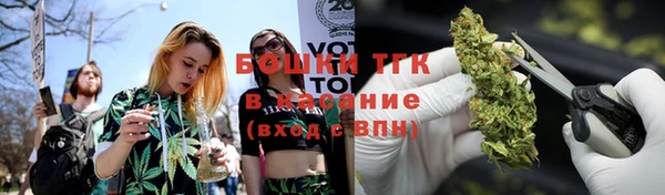 ПСИЛОЦИБИНОВЫЕ ГРИБЫ Алзамай