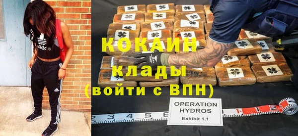 стаф Сясьстрой