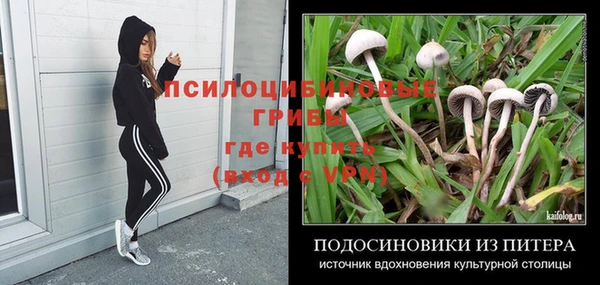альфа пвп Арсеньев