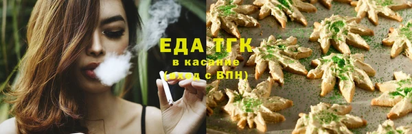 PSILOCYBIN Аркадак