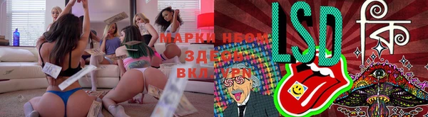 PSILOCYBIN Аркадак