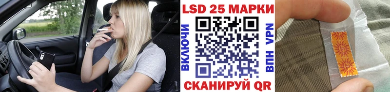OMG ONION  Шадринск  Марки N-bome 1500мкг 