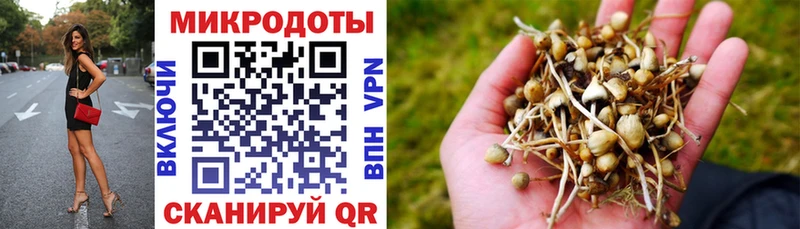 Галлюциногенные грибы мицелий  купить закладку  Шадринск 